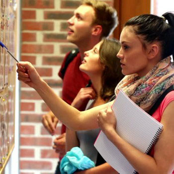 Domestic-Certificate III in EAL Course